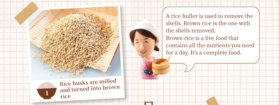 Rice husks are milled and turned into brown rice. A rice huller is used to remove the shells. Brown rice is the one with the shells removed. Brown rice is a live food that contains all the nutrients you need for a day. It's a complete food.